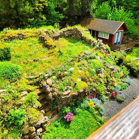 Bed And Breakfast Tvrz Velká Bukovina Kültér fotó