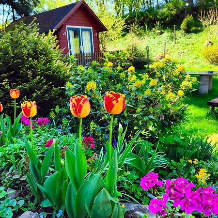 Bed And Breakfast Tvrz Velká Bukovina Kültér fotó