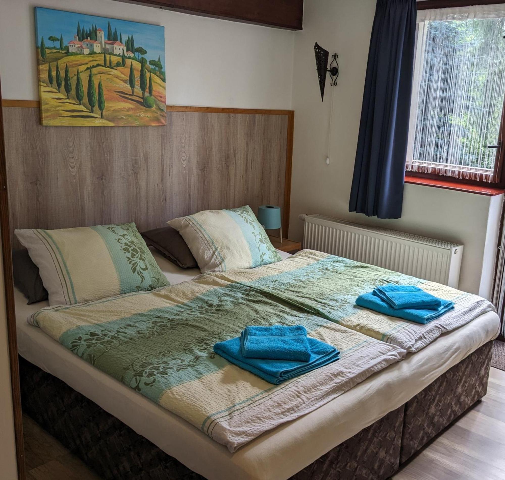 Bed And Breakfast Tvrz Velká Bukovina Kültér fotó