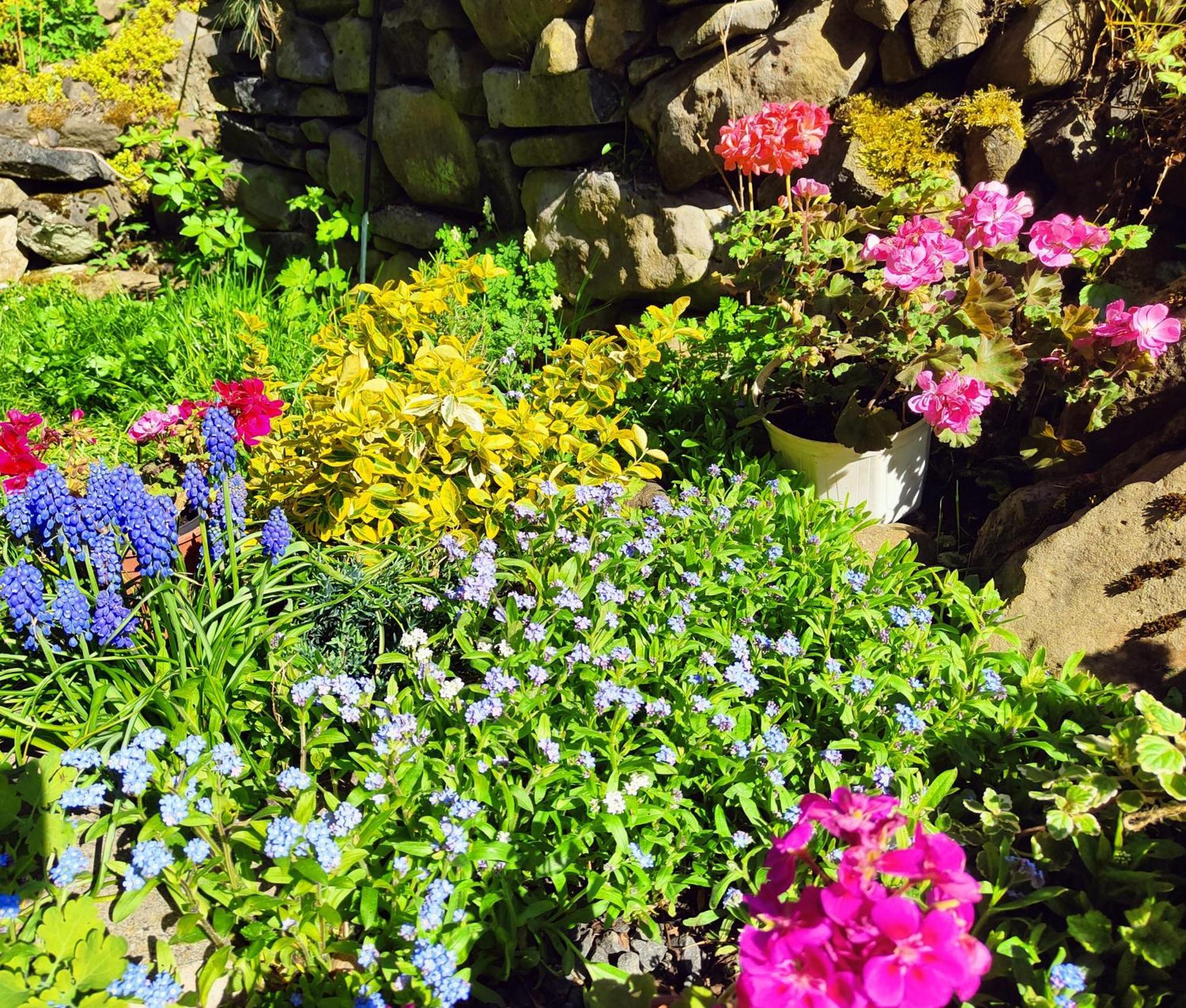 Bed And Breakfast Tvrz Velká Bukovina Kültér fotó