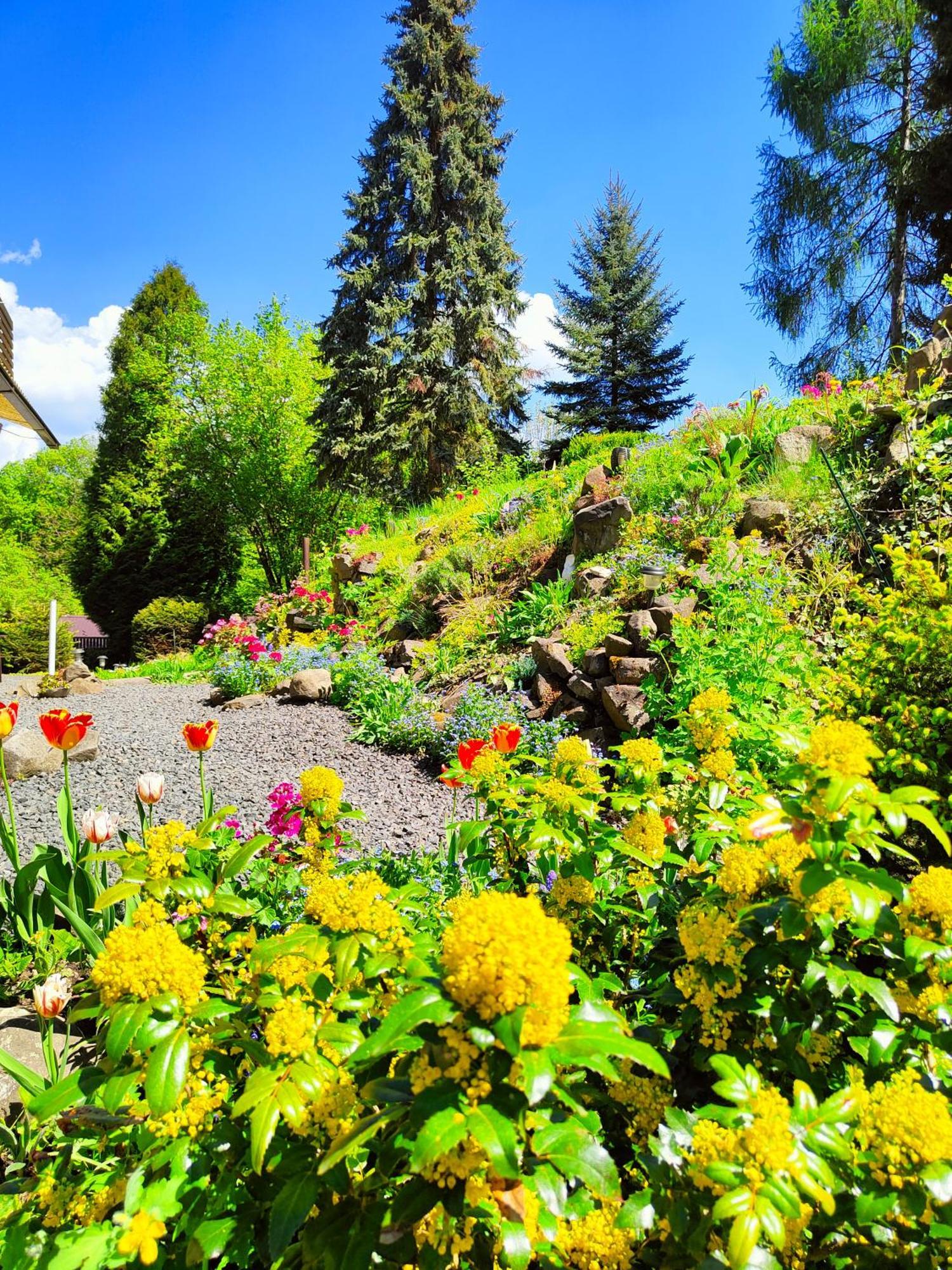 Bed And Breakfast Tvrz Velká Bukovina Kültér fotó