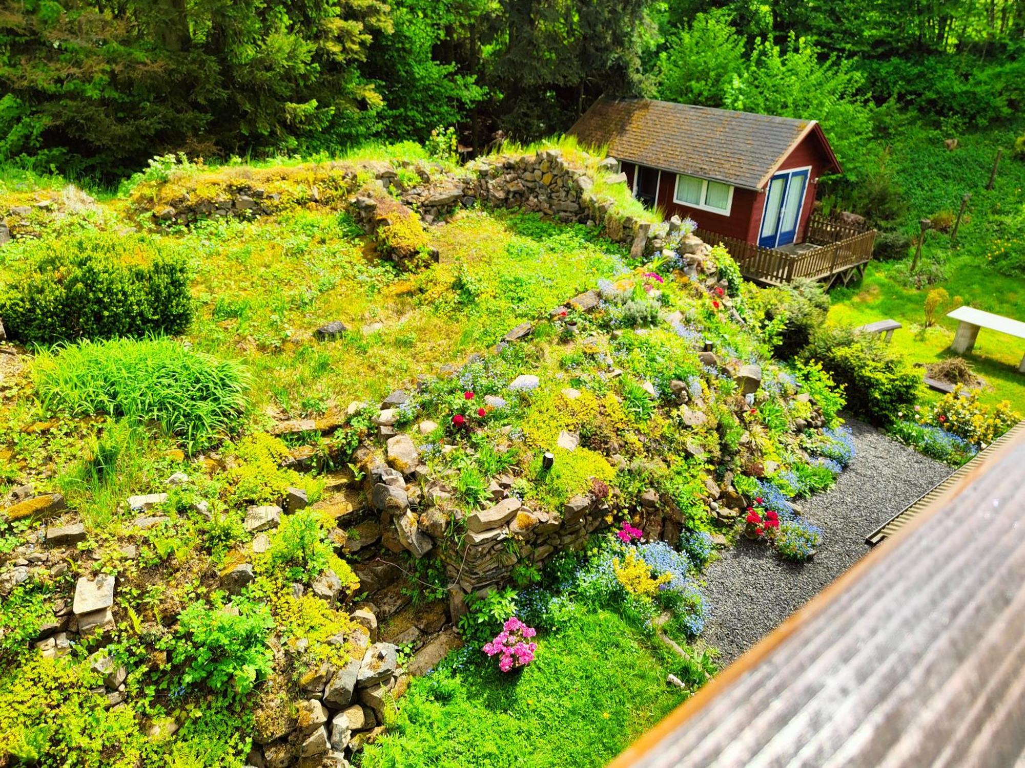 Bed And Breakfast Tvrz Velká Bukovina Kültér fotó