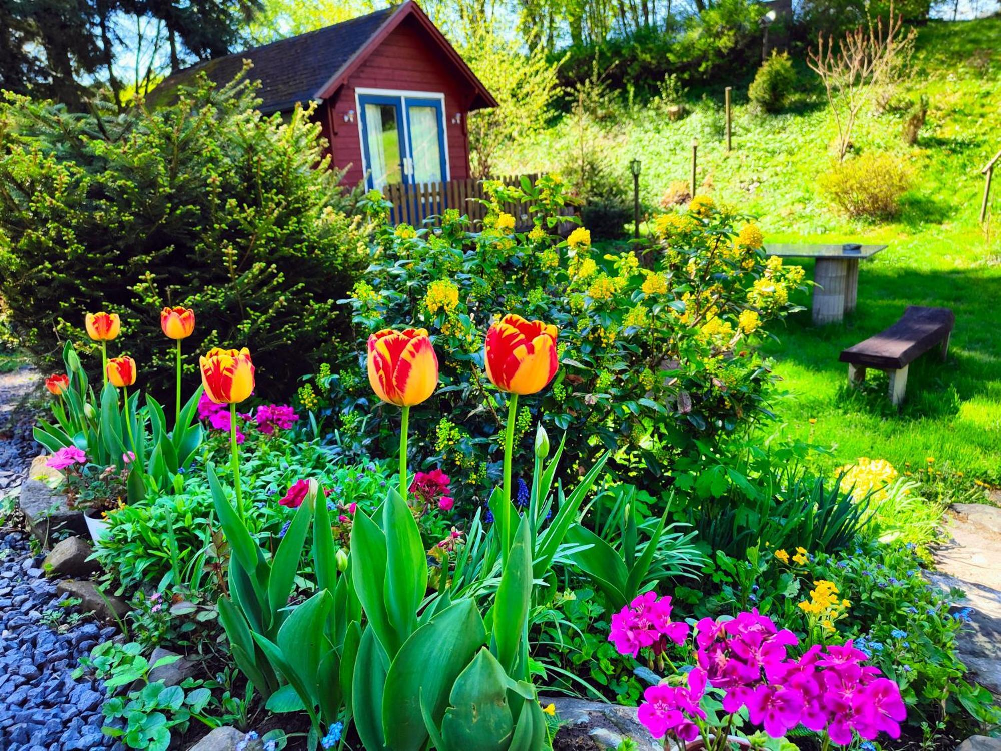 Bed And Breakfast Tvrz Velká Bukovina Kültér fotó